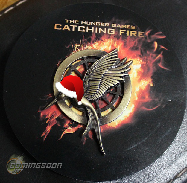 This Mockingjay pin was one of the few hot swag items this year. Photo from ComingSoon.net