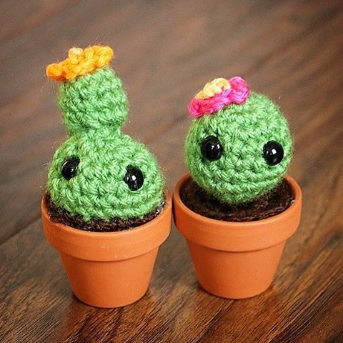 Cutie Cactus