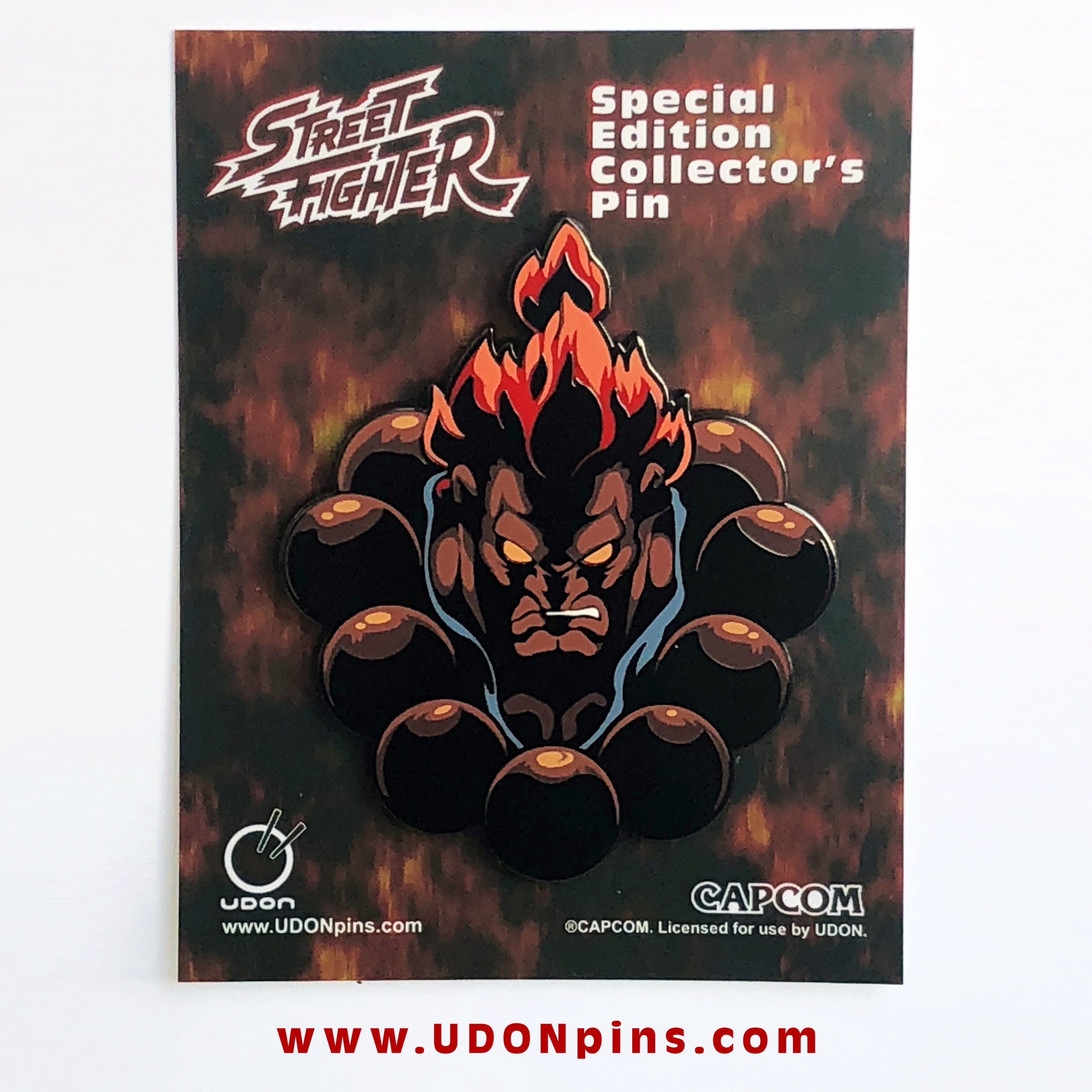 Street Fighter 6 Enamel Pins 