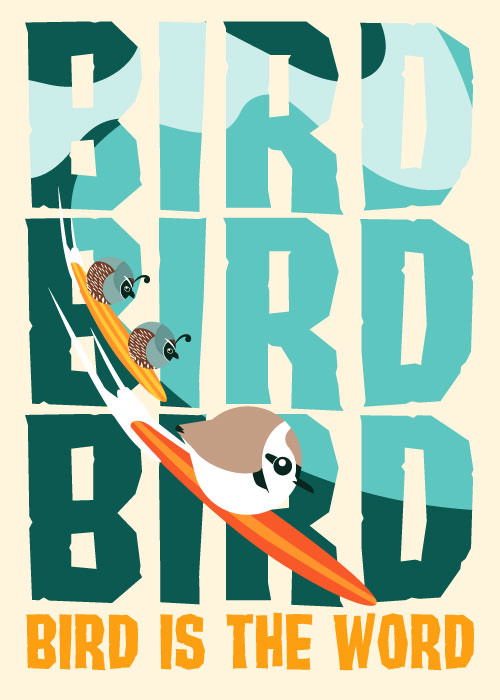 Surfin' Borbs Postcard